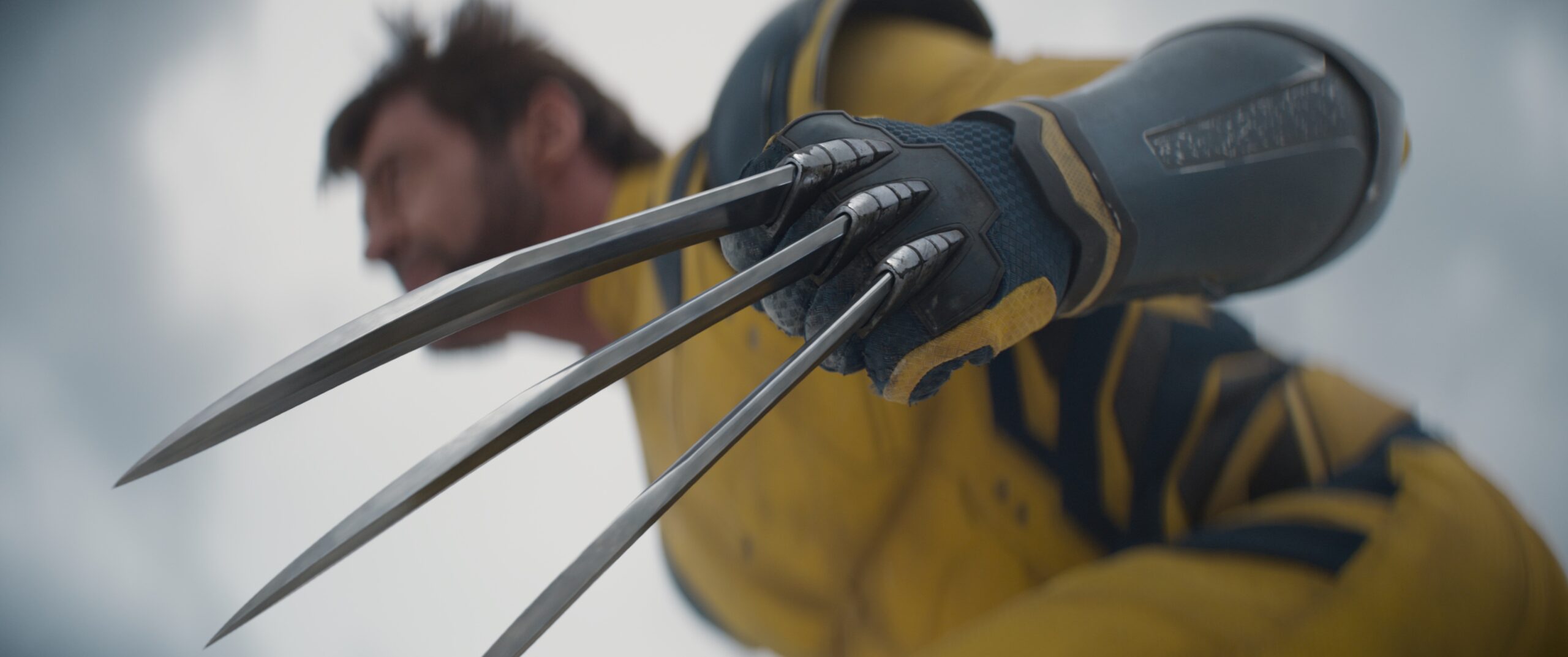 wolverine from deadpool and wolverine photo